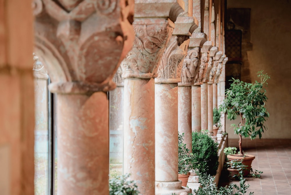 a row of pillars with plants growing between them