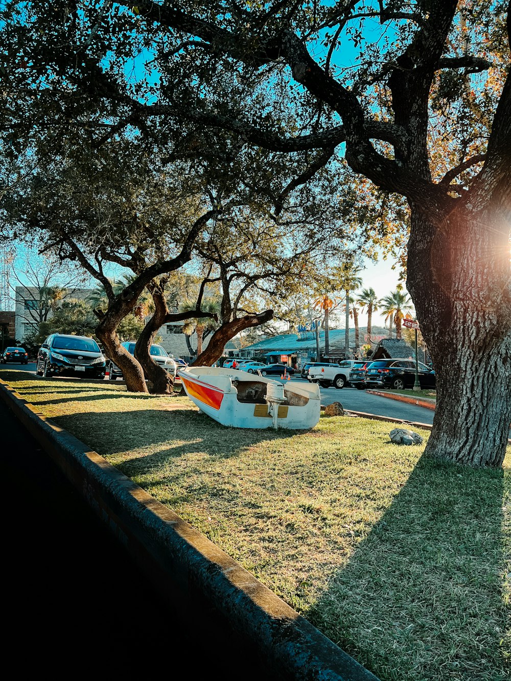 a car parked on the side of a road next to a tree