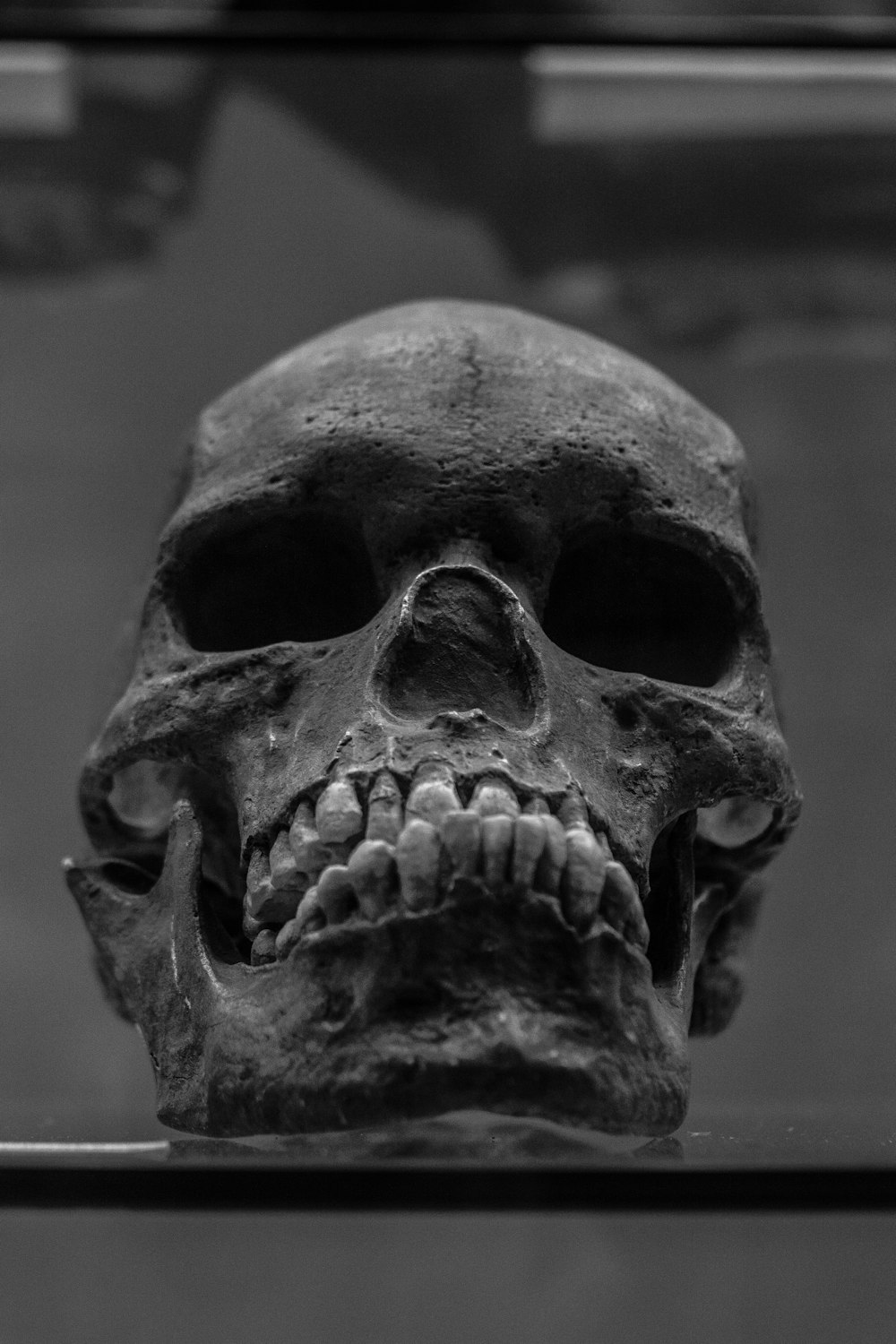 a black and white photo of a human skull