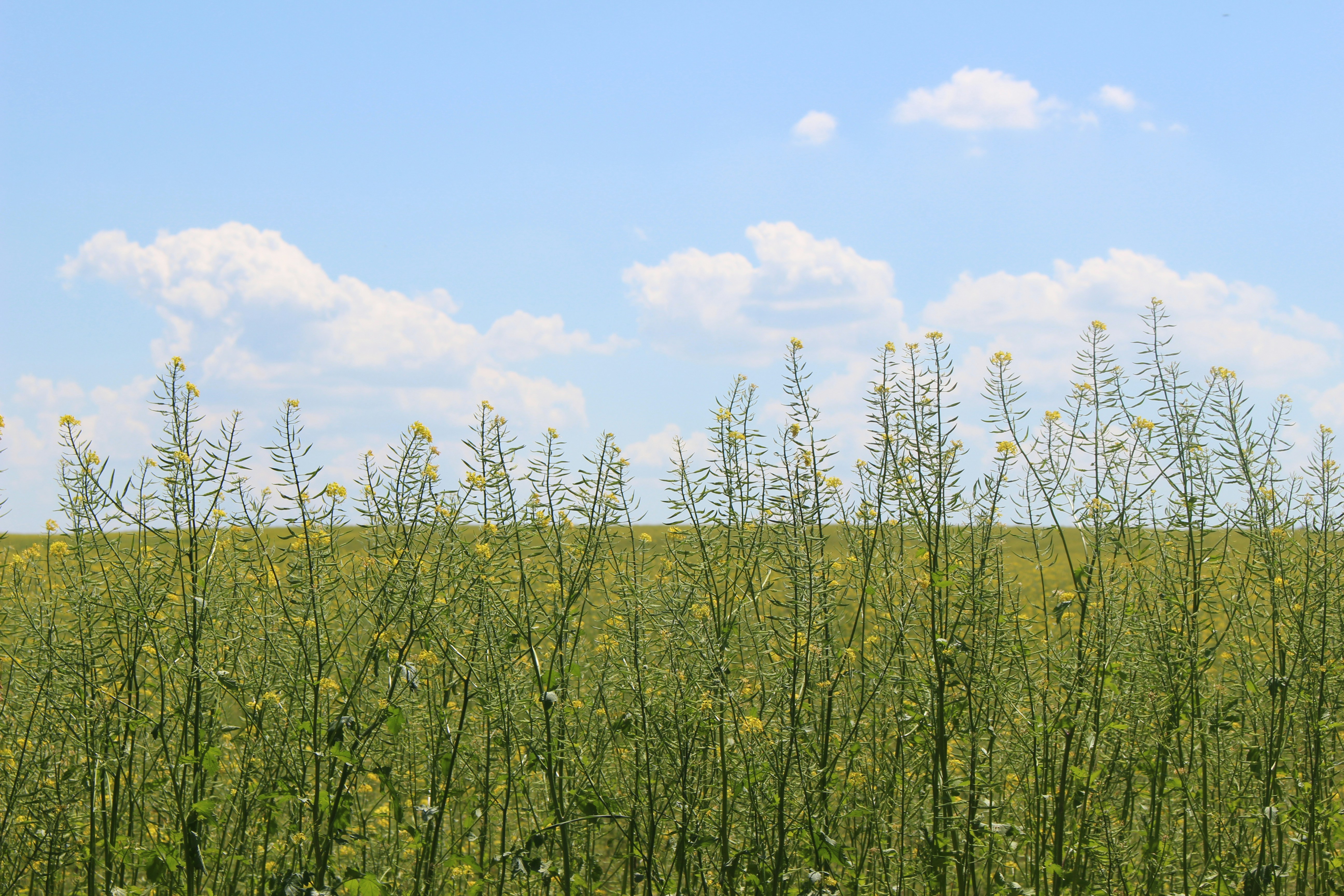 Photo by marjorylucabaxter