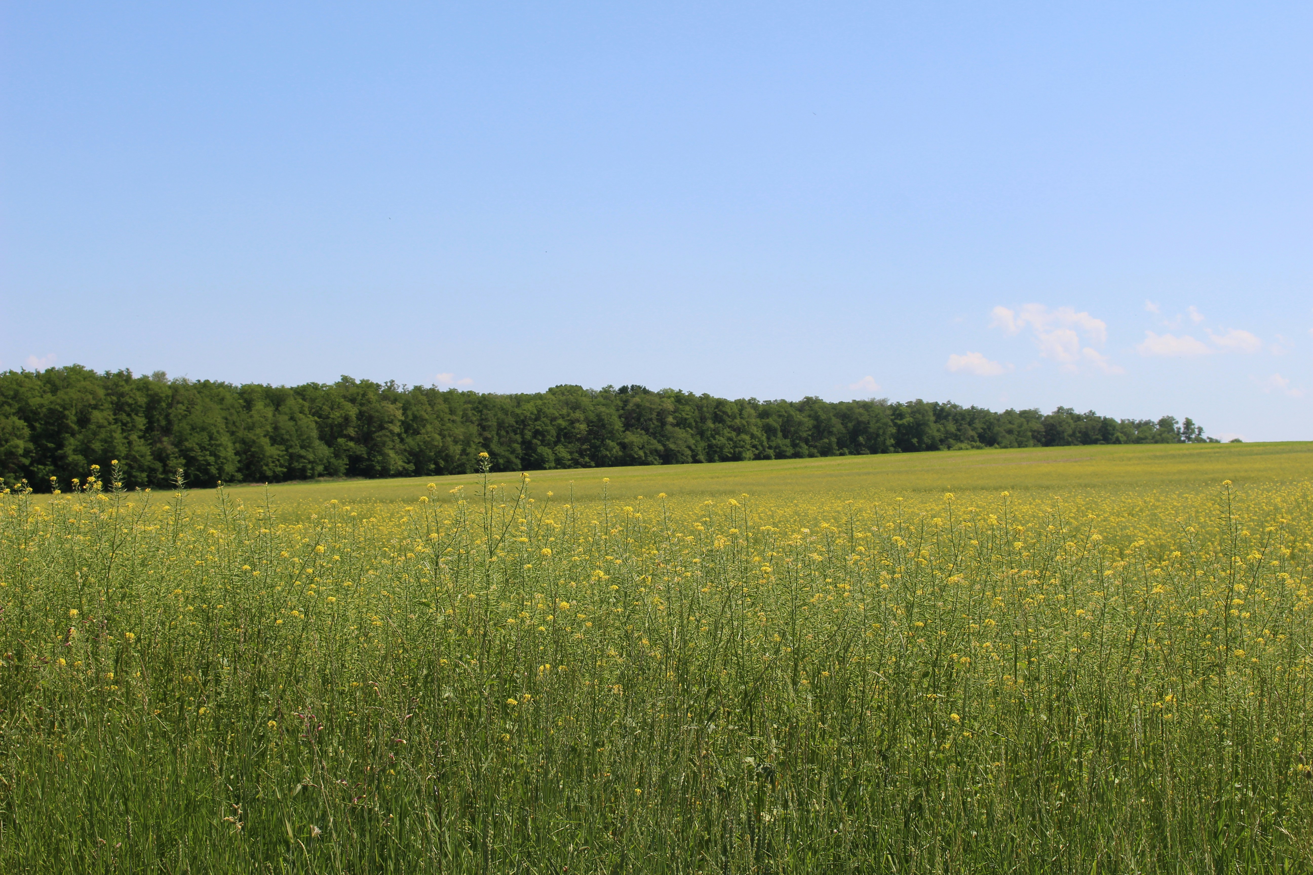 Photo by marjorylucabaxter