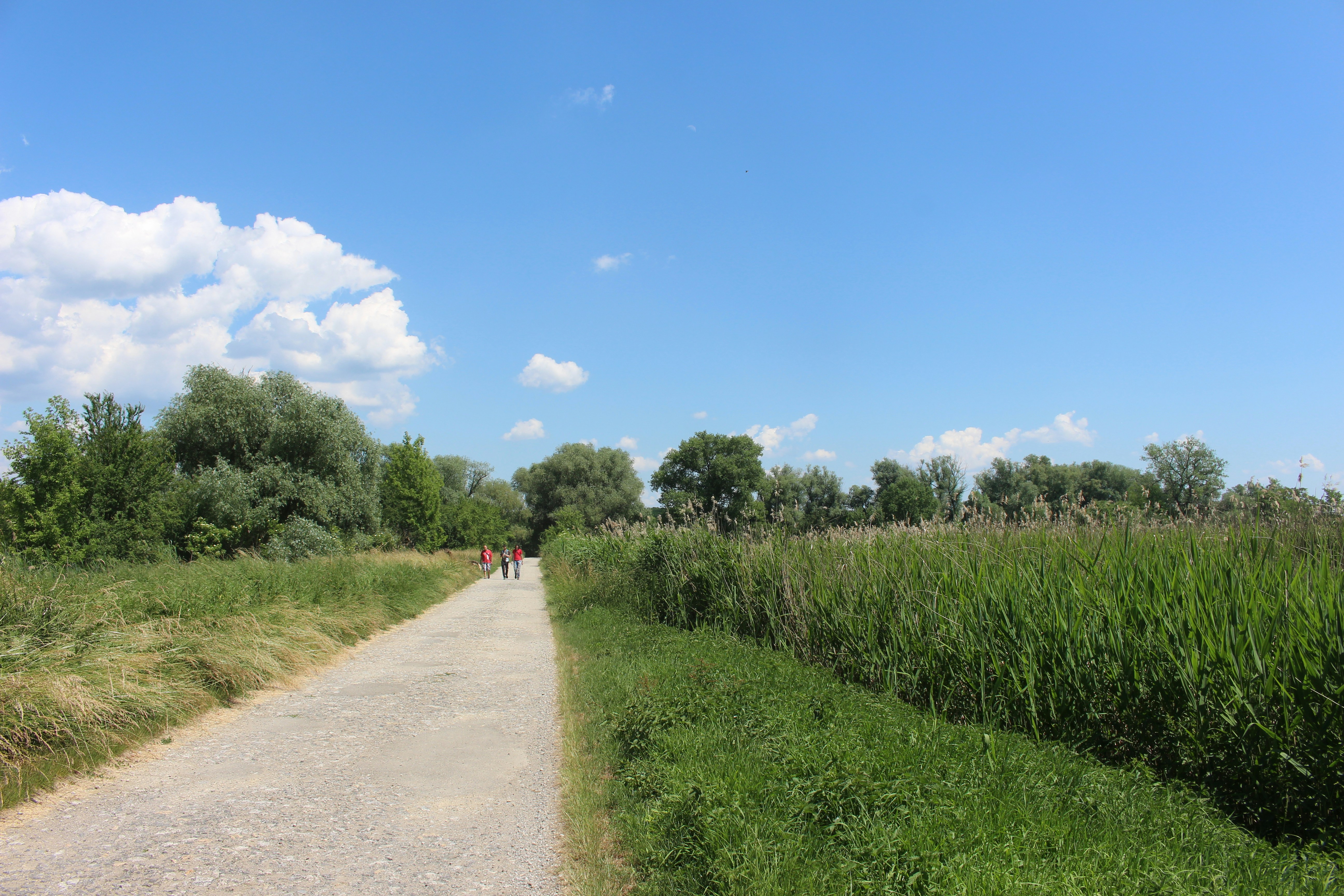 Photo by marjorylucabaxter