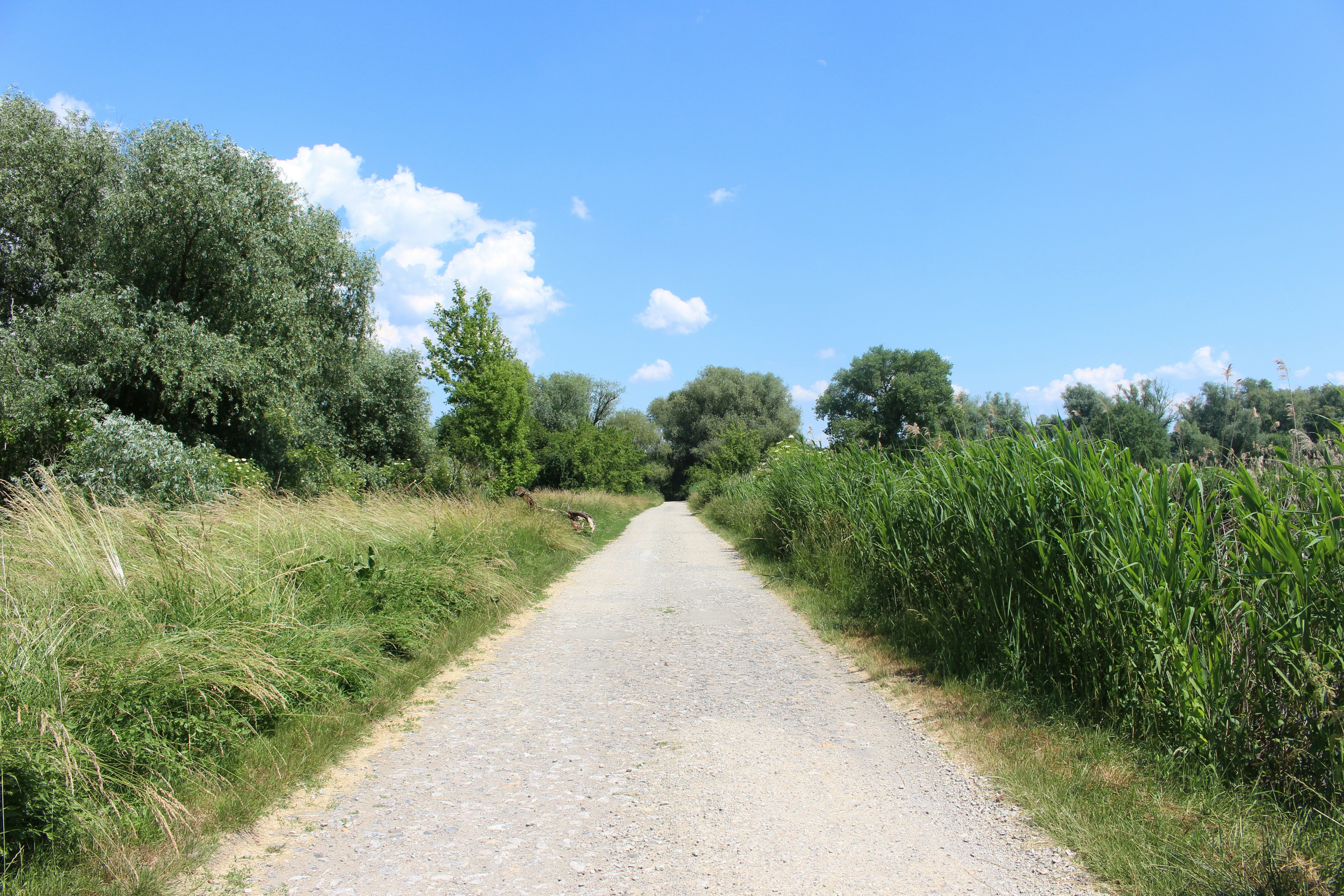 Photo by marjorylucabaxter