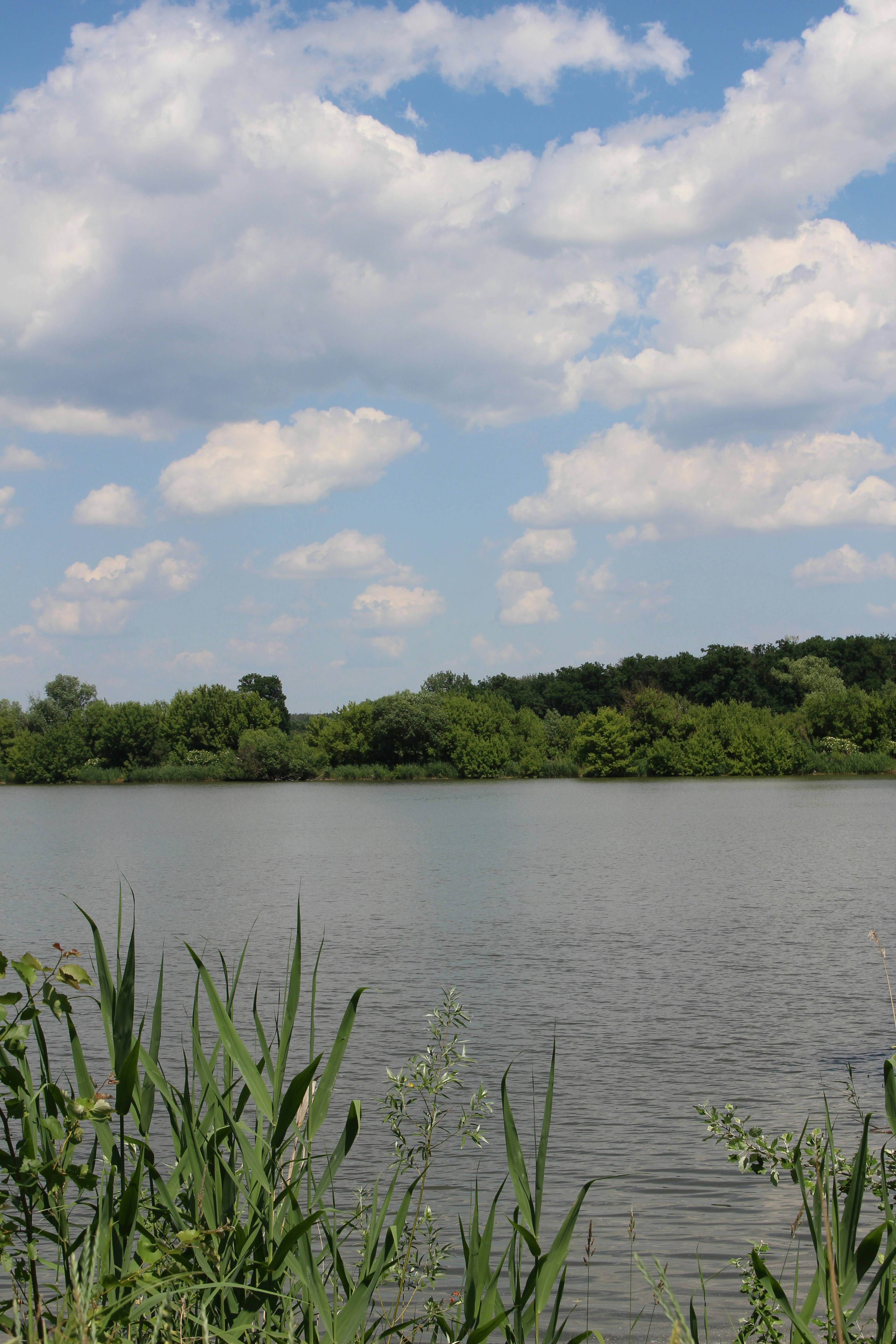 Photo by marjorylucabaxter