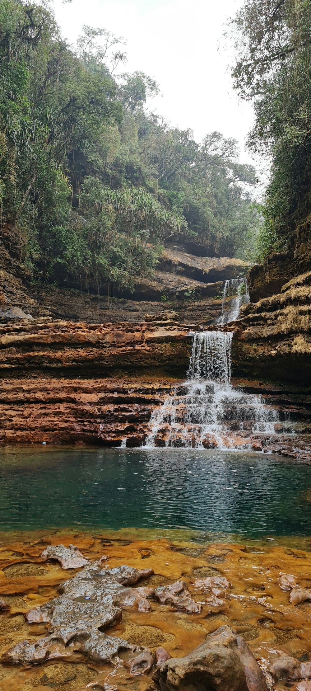 a small waterfall in the middle of a forest