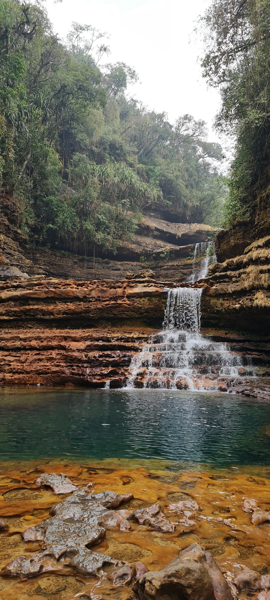 Waterfall in a Meghalaya forest