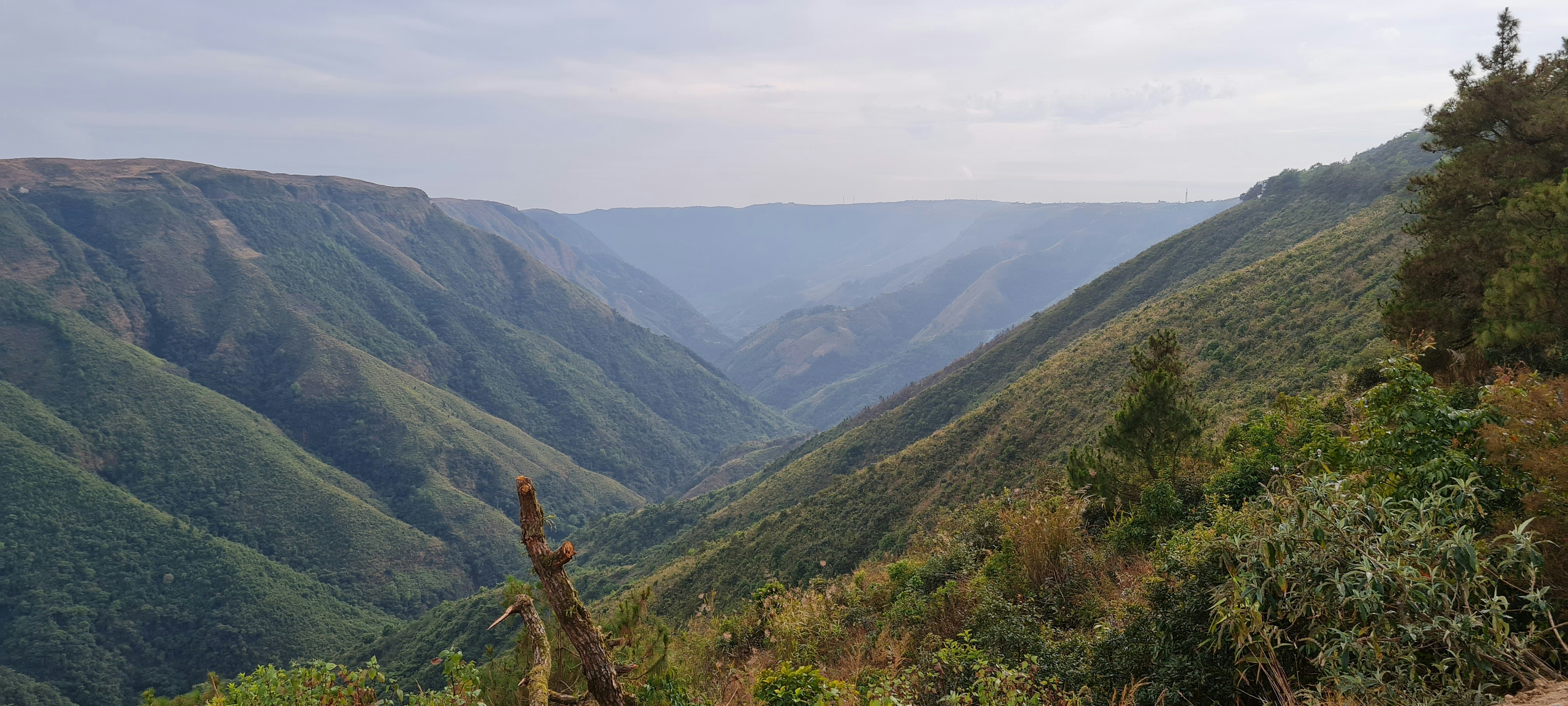 a scenic view of a valley with mountains in the background