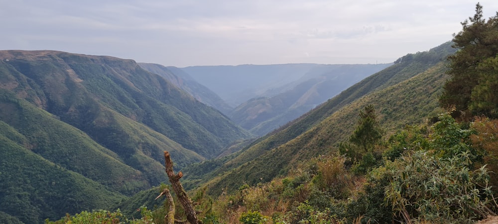 a scenic view of a valley with mountains in the background