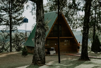 a small cabin in the woods with a green roof