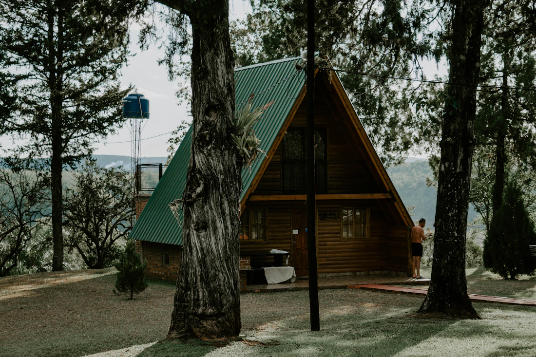 Ormanda yeşil çatılı bungalov