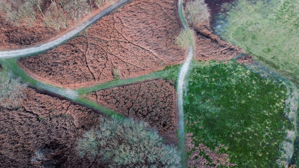 Vue aérienne d’une route sinueuse dans une zone boisée