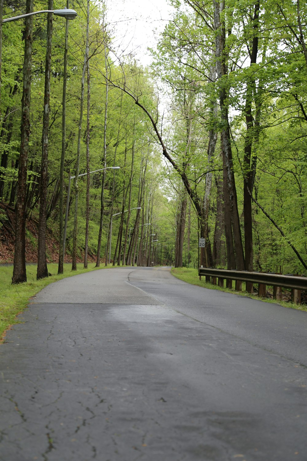 a paved road in the middle of a forest