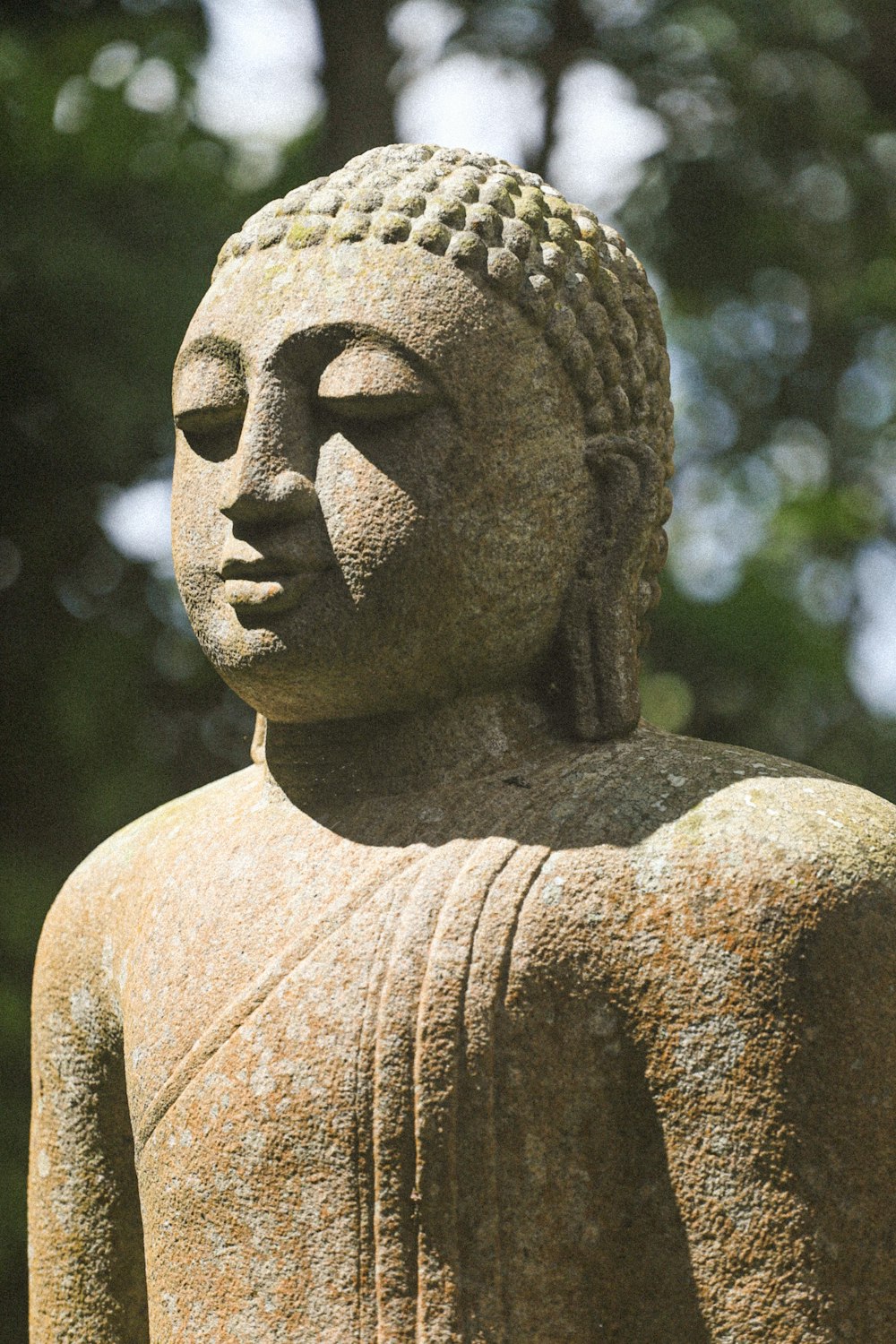 a close up of a buddha statue with trees in the background