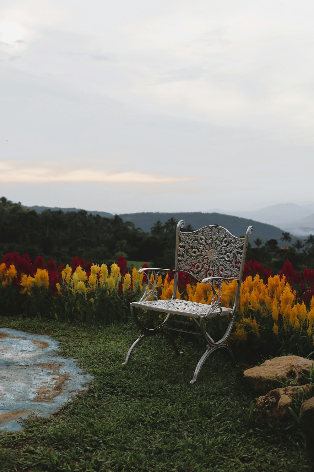 a bench sitting in the middle of a field of flowers