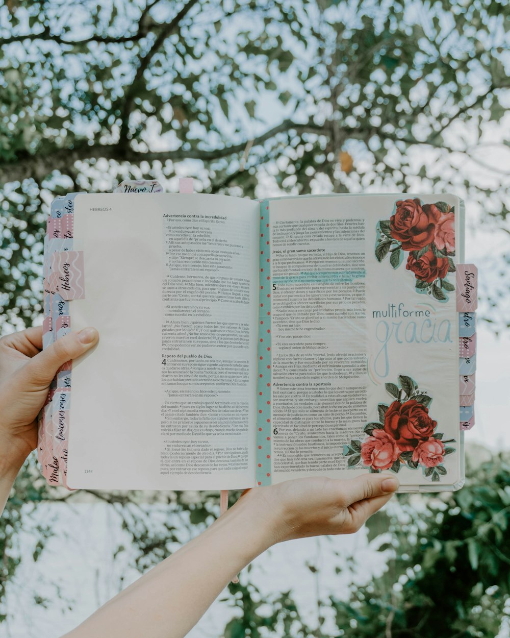 a person holding a book open to a page