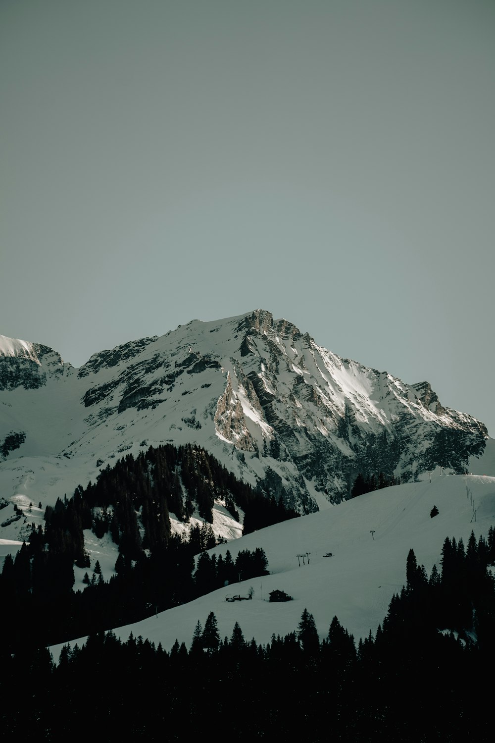 a mountain covered in snow with trees in the foreground