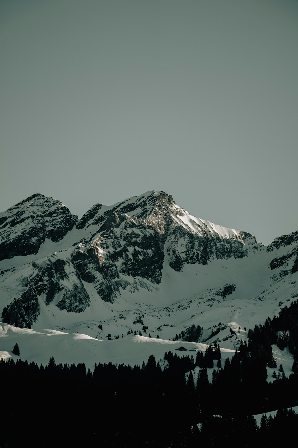 a snow covered mountain with trees in the foreground