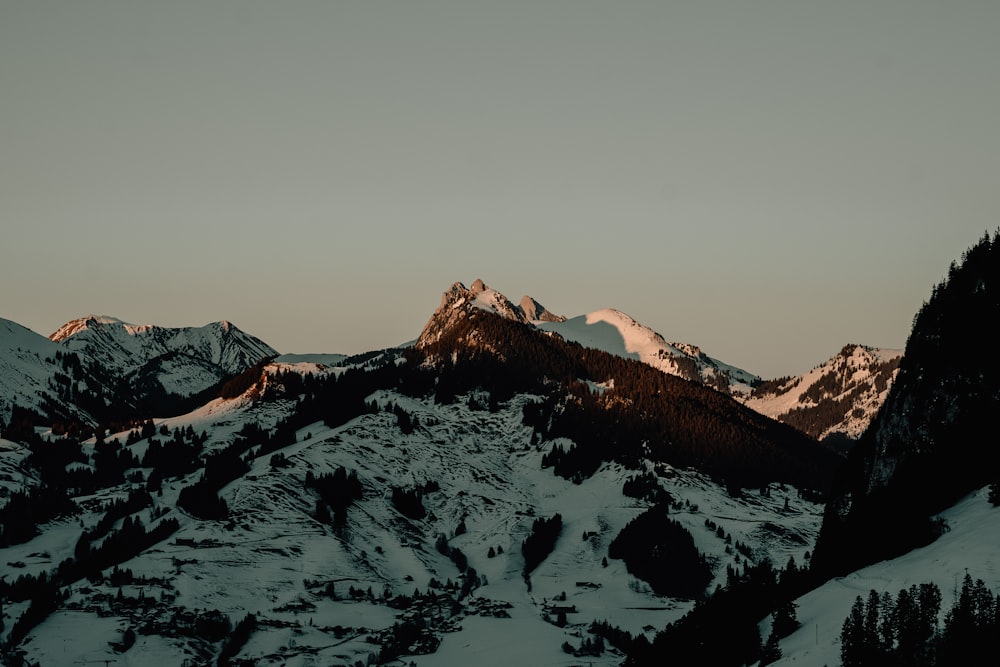 a snow covered mountain with a few trees on top of it