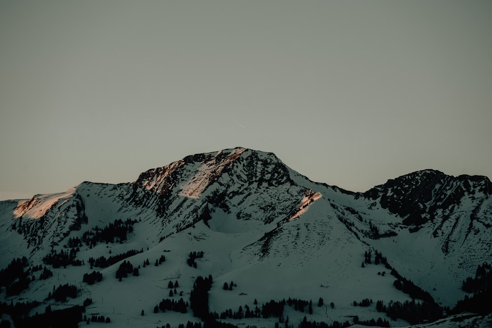 a snow covered mountain with trees on it