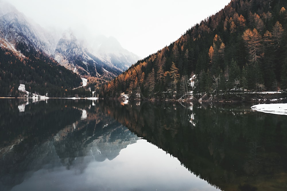 a body of water surrounded by mountains and trees