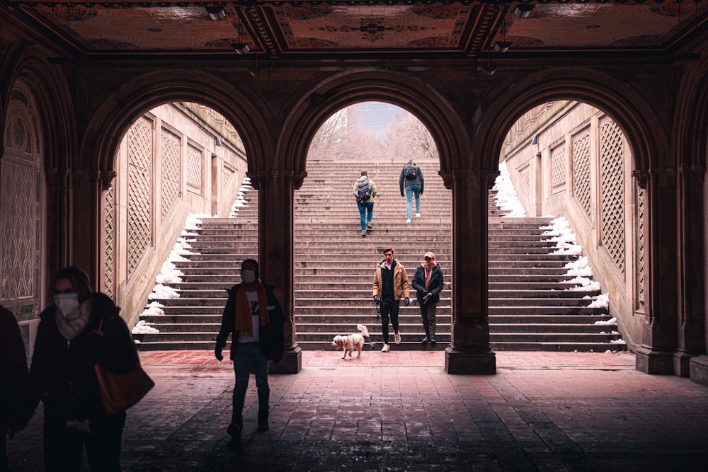 a group of people walking down a set of stairs