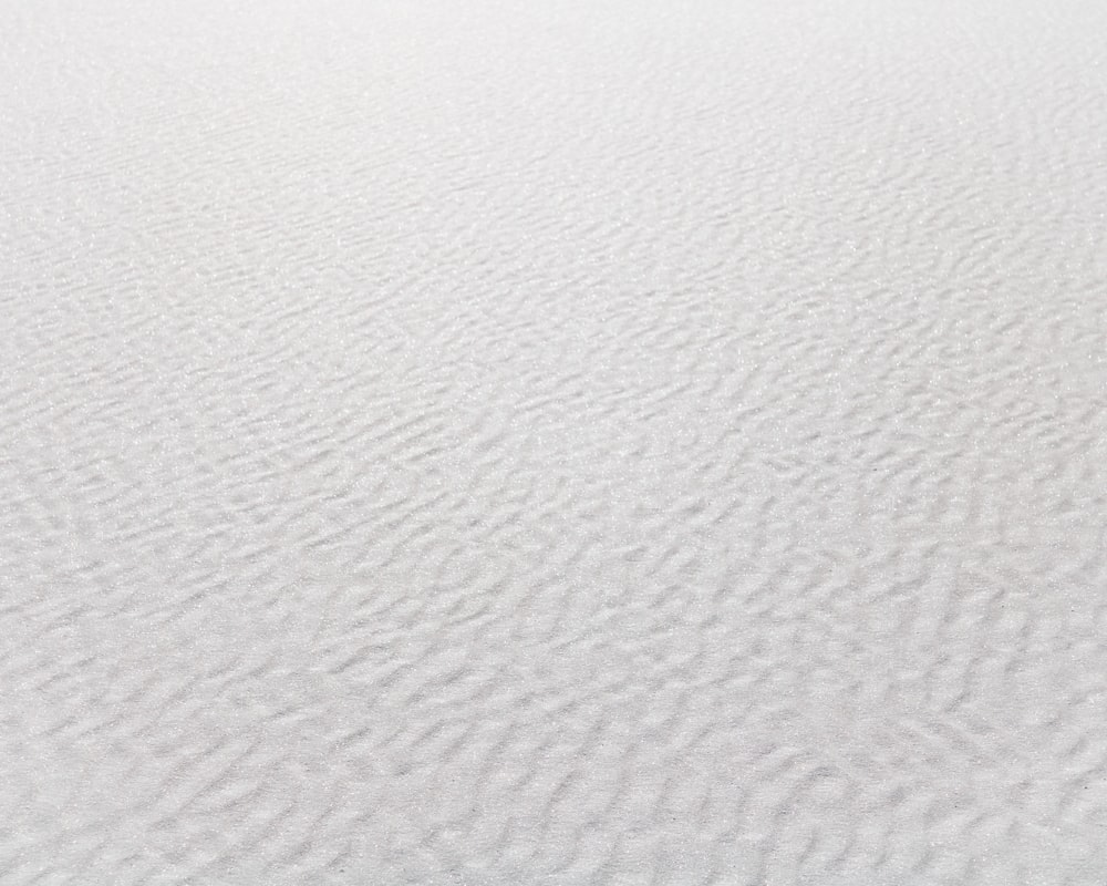 a lone tree in the middle of a white landscape