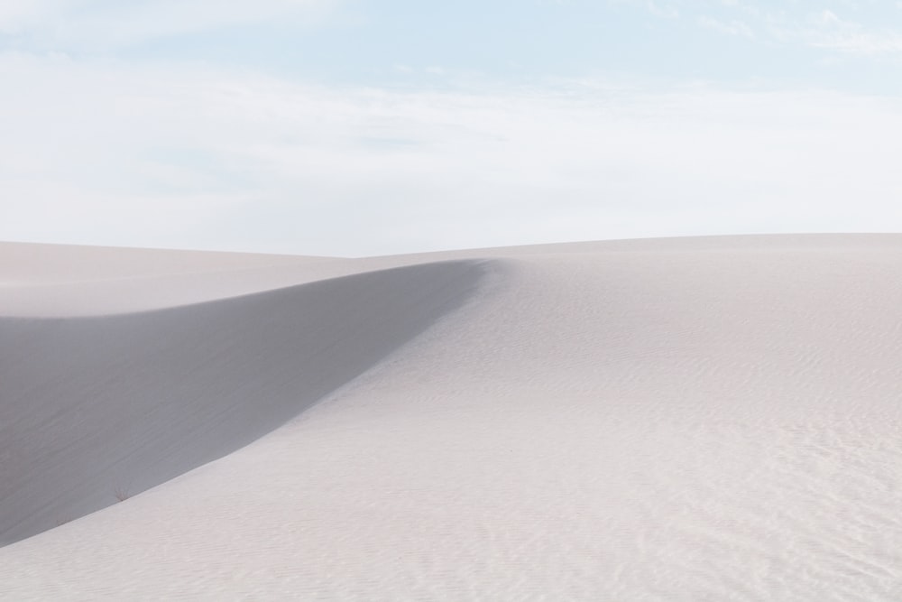 a lone tree in the middle of a desert