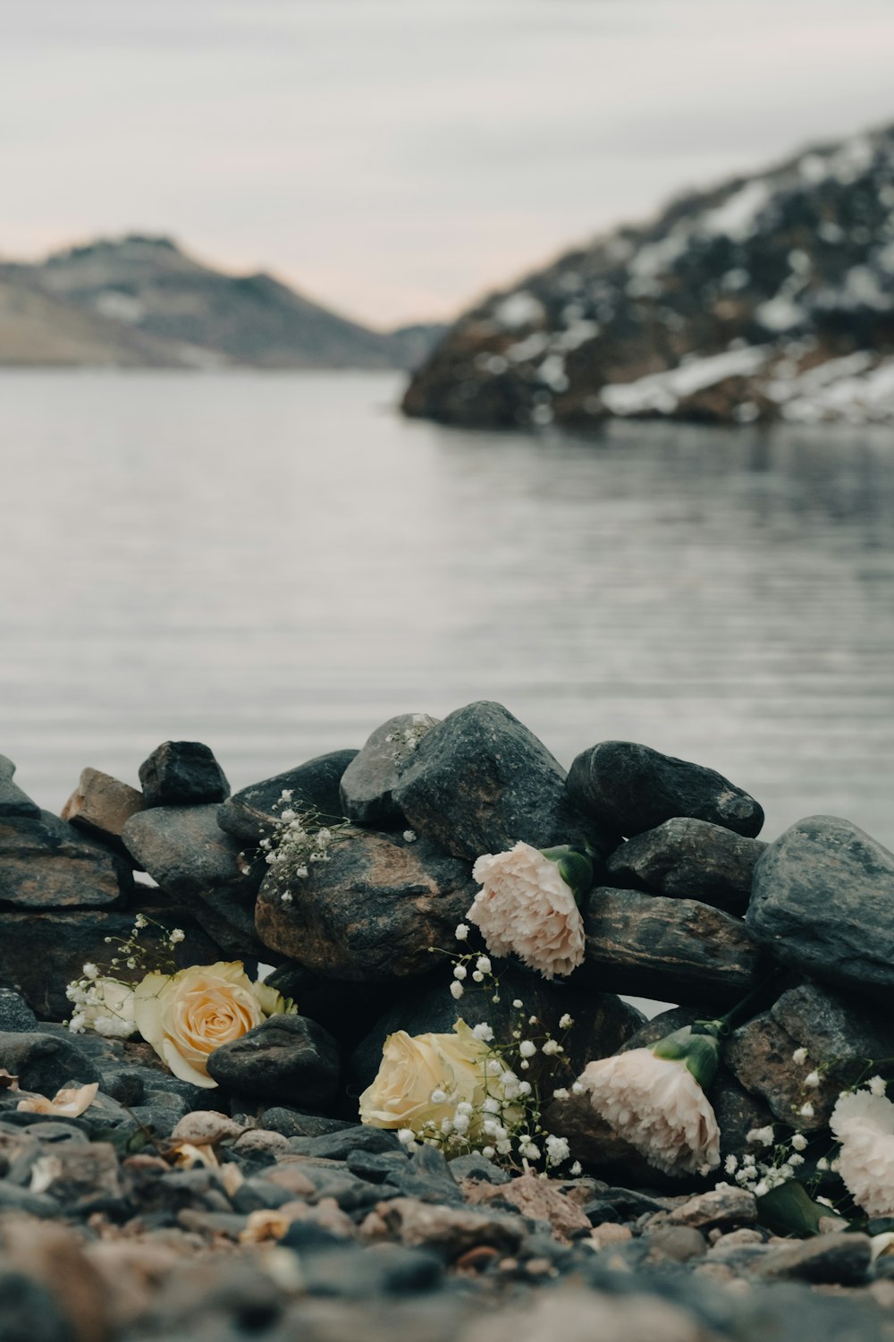 a bunch of rocks sitting on top of a beach