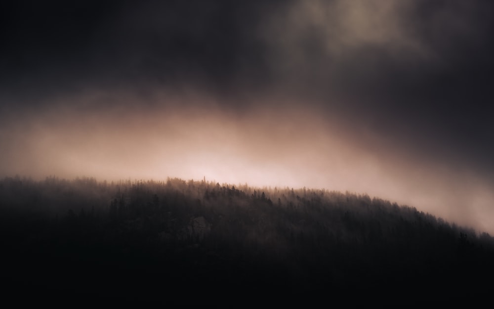 나무로 덮인 언덕의 흑백 사진