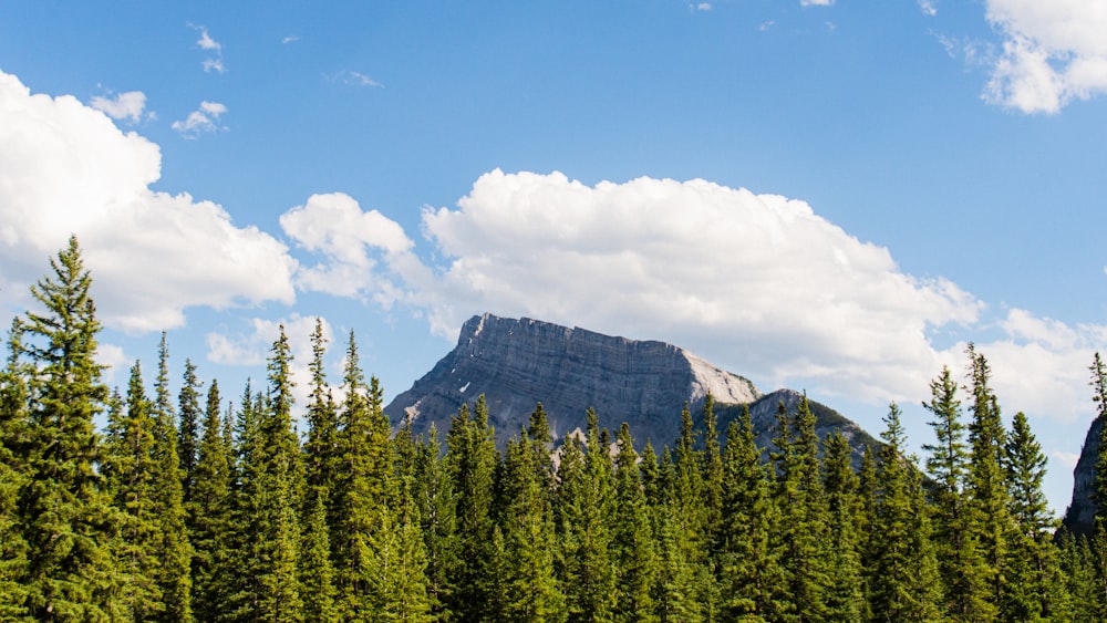 a view of a mountain through the trees