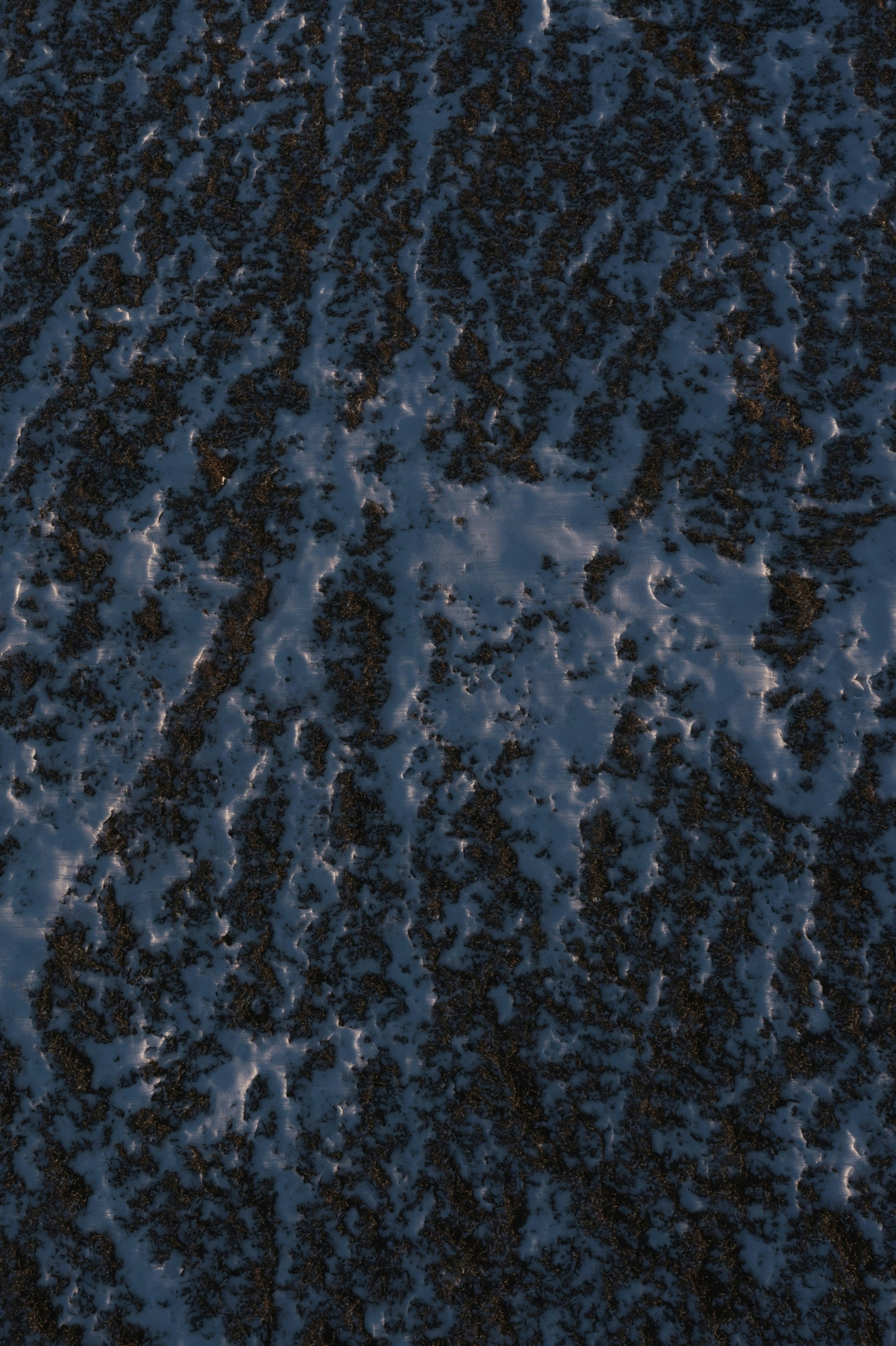 Photo by ________________1a