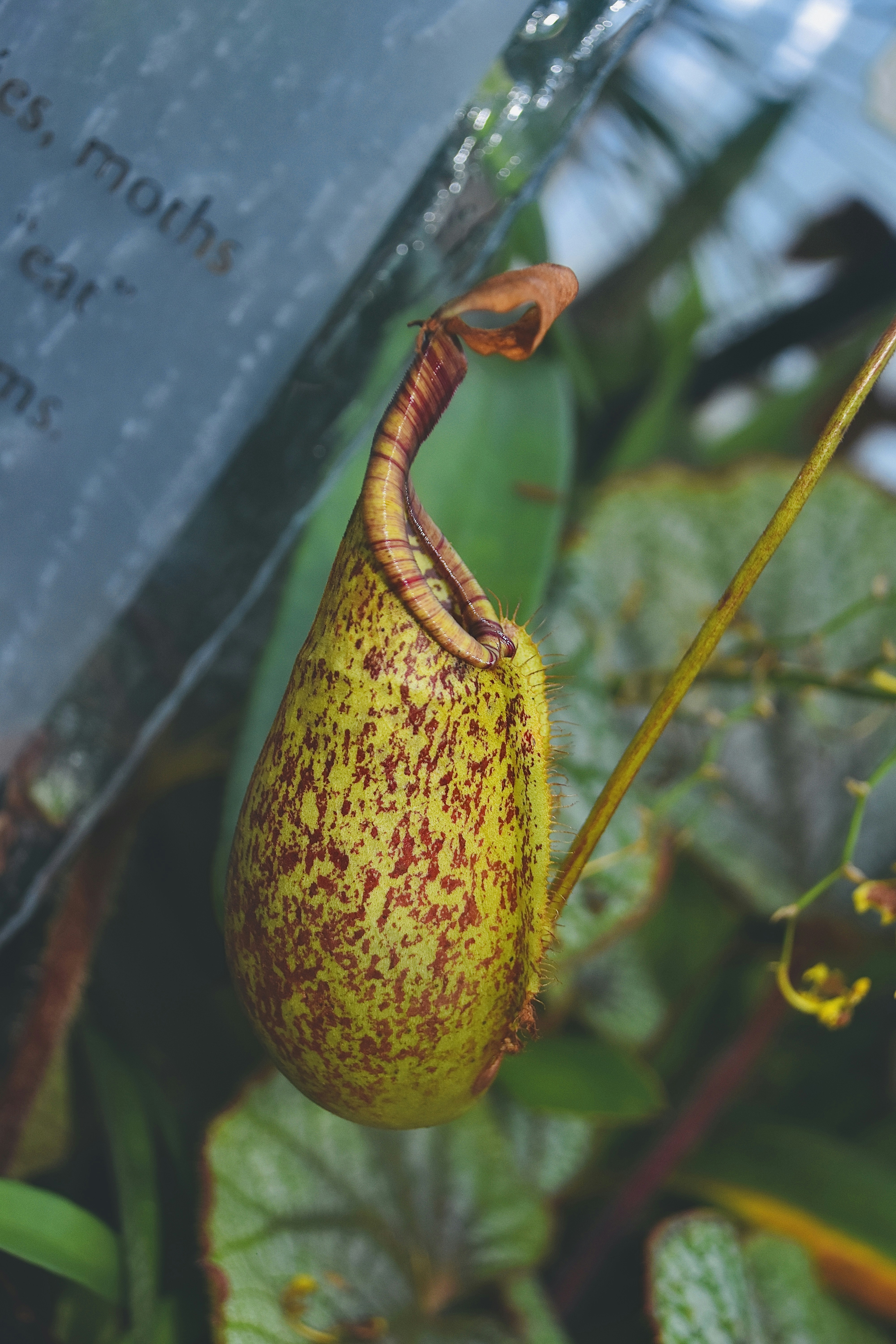 6 Journaling Ideas for Year-Round Botanical Self-Care