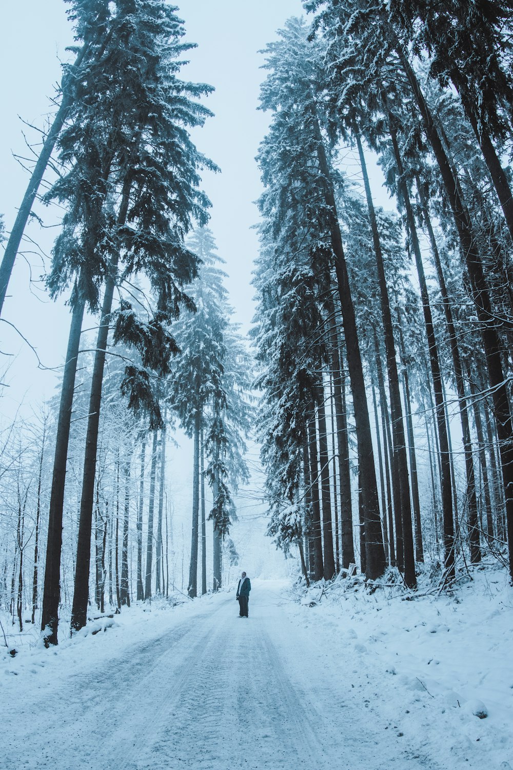 a person walking down a snow covered road