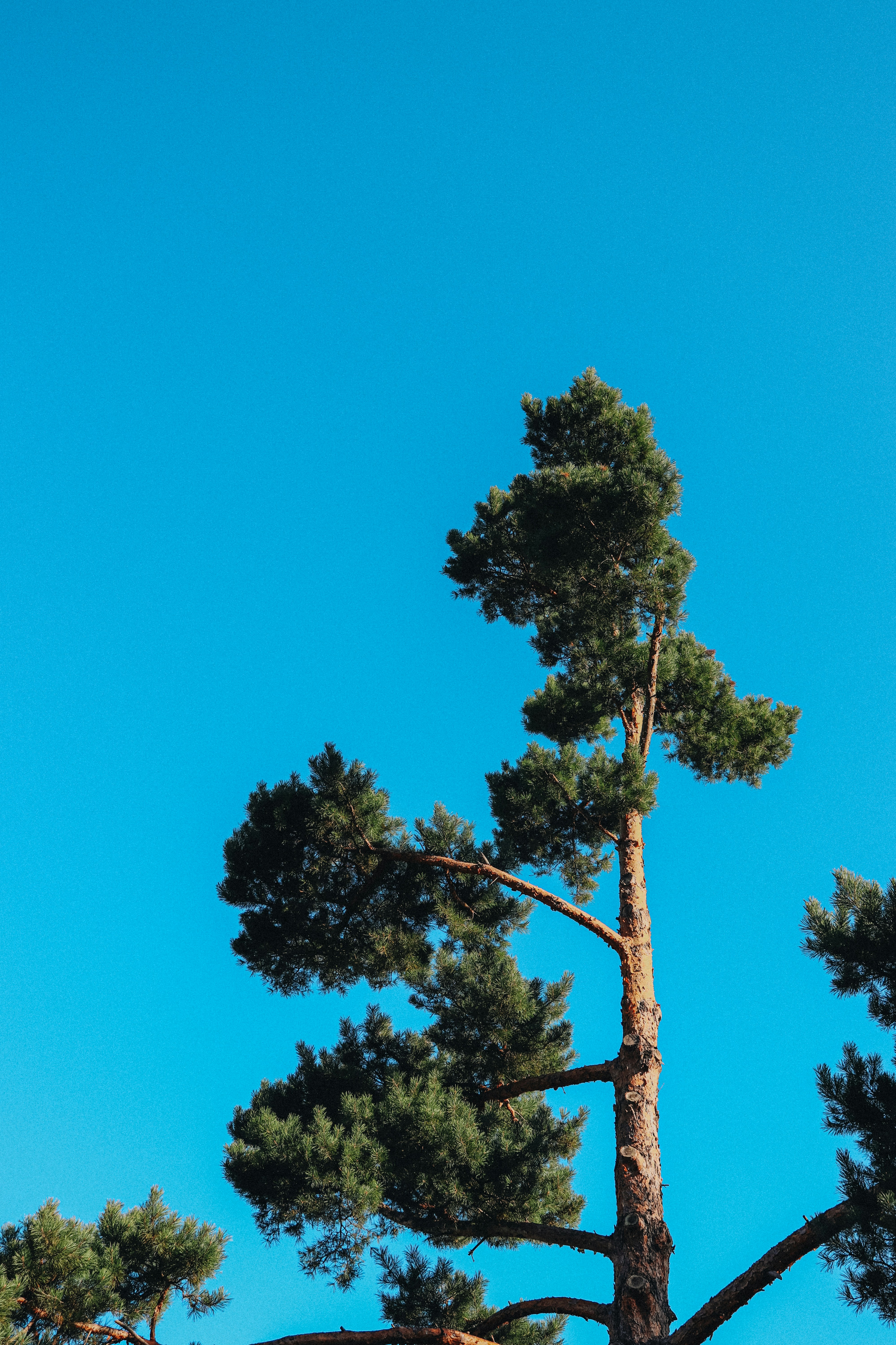 Photo by thecyclichedgehog