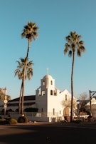 A small white mission-style church with a bell tower sits between two tall palm trees under a clear blue sky. The building's clean lines and simple architecture are highlighted by the warm sunlight. Nearby, trimmed bushes and a tree with sparse branches can be seen, suggesting an early spring or late winter setting.