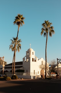 A small white mission-style church with a bell tower sits between two tall palm trees under a clear blue sky. The building's clean lines and simple architecture are highlighted by the warm sunlight. Nearby, trimmed bushes and a tree with sparse branches can be seen, suggesting an early spring or late winter setting.