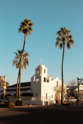 A small white mission-style church with a bell tower sits between two tall palm trees under a clear blue sky. The building's clean lines and simple architecture are highlighted by the warm sunlight. Nearby, trimmed bushes and a tree with sparse branches can be seen, suggesting an early spring or late winter setting.