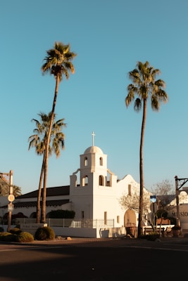 A small white mission-style church with a bell tower sits between two tall palm trees under a clear blue sky. The building's clean lines and simple architecture are highlighted by the warm sunlight. Nearby, trimmed bushes and a tree with sparse branches can be seen, suggesting an early spring or late winter setting.