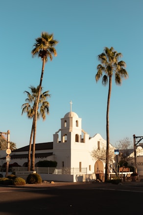 A small white mission-style church with a bell tower sits between two tall palm trees under a clear blue sky. The building's clean lines and simple architecture are highlighted by the warm sunlight. Nearby, trimmed bushes and a tree with sparse branches can be seen, suggesting an early spring or late winter setting.