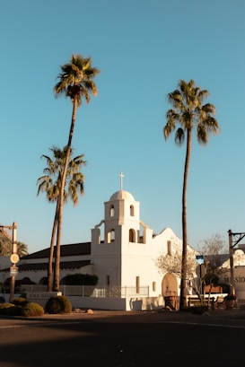 A small white mission-style church with a bell tower sits between two tall palm trees under a clear blue sky. The building's clean lines and simple architecture are highlighted by the warm sunlight. Nearby, trimmed bushes and a tree with sparse branches can be seen, suggesting an early spring or late winter setting.