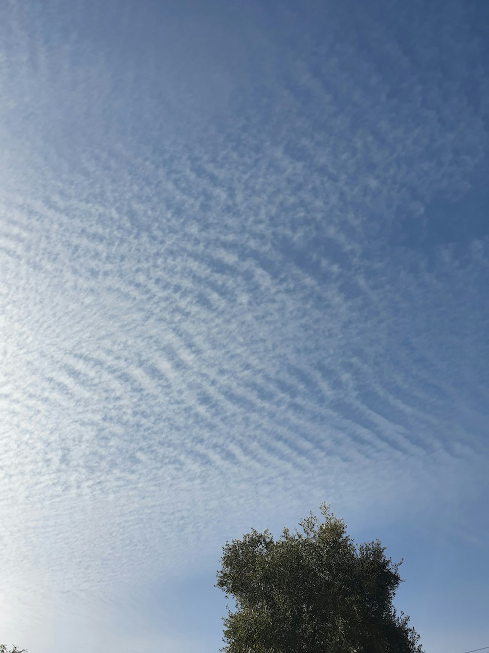 a blue sky with some clouds and a tree