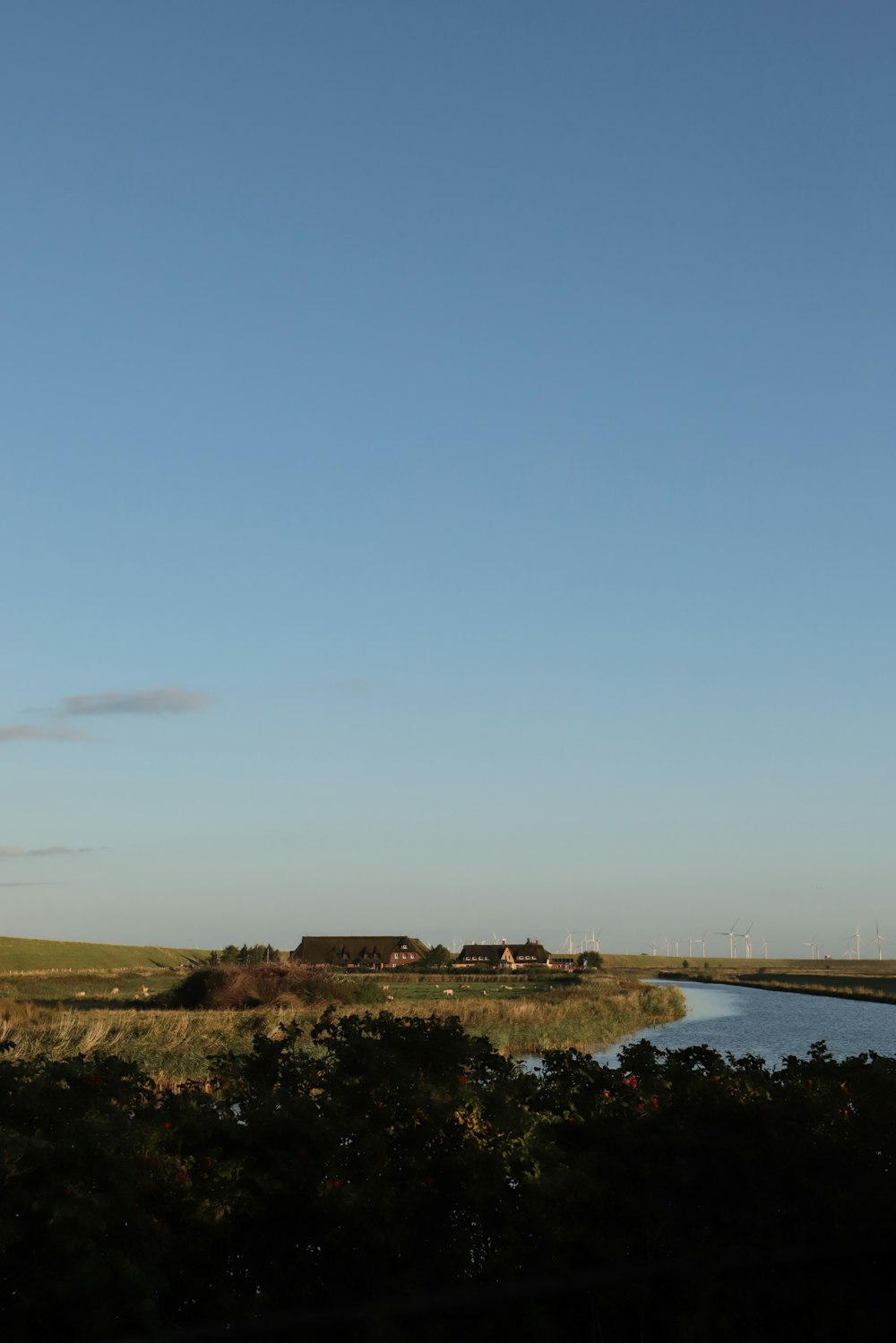 a large field with a river running through it