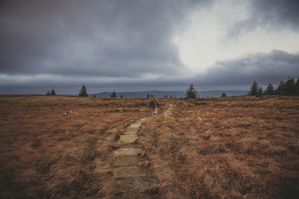 a person walking on a path in a field