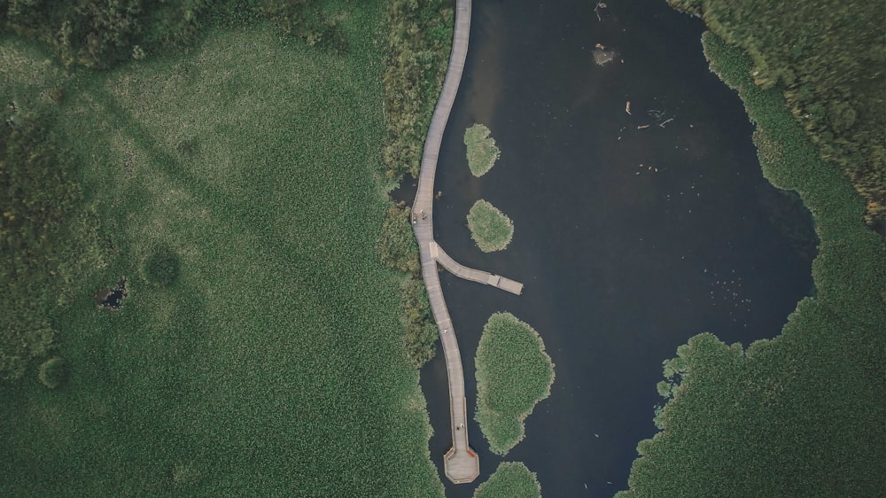 uma vista aérea de um corpo de água cercado por árvores