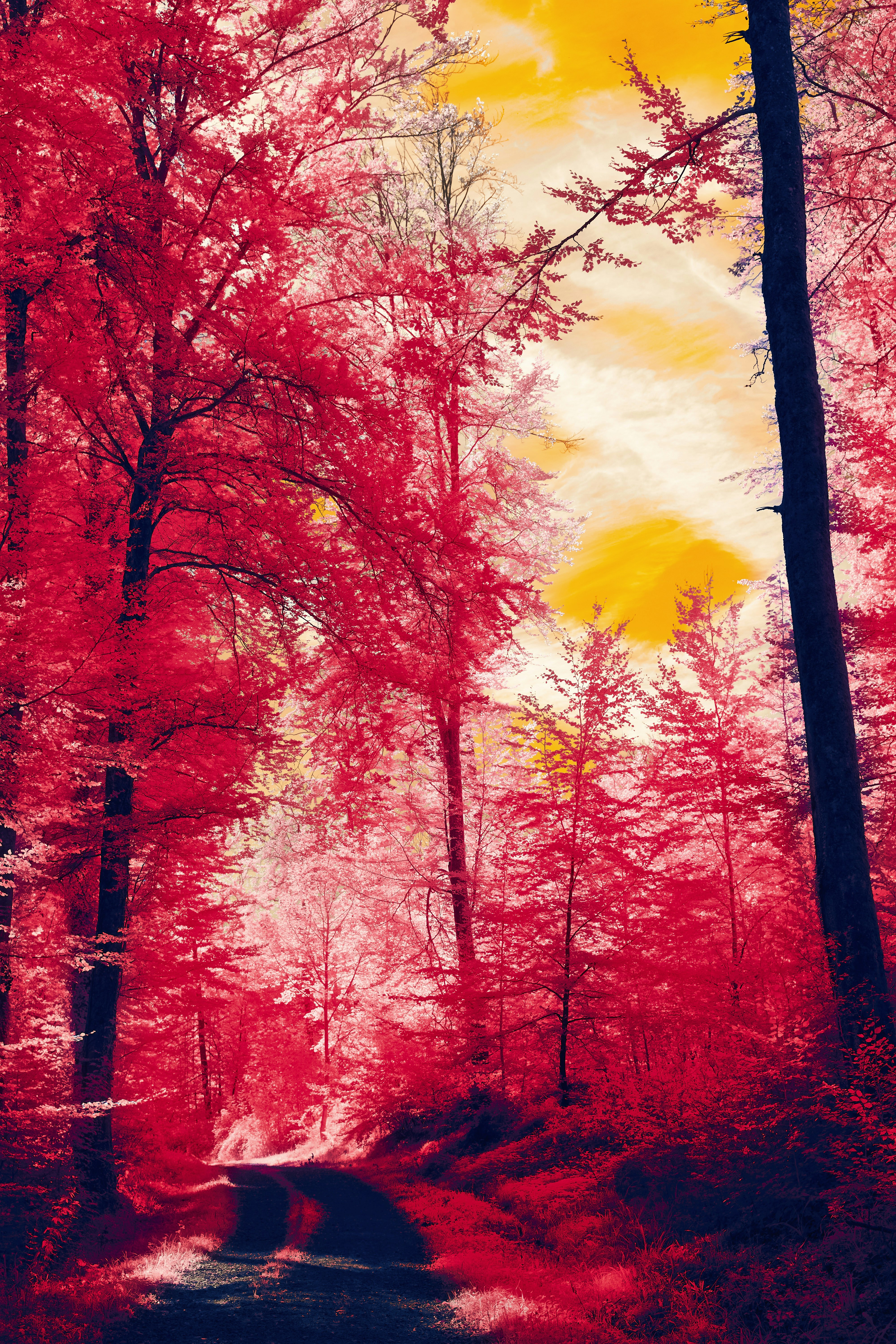 Photo by wolfgang_hasselmann