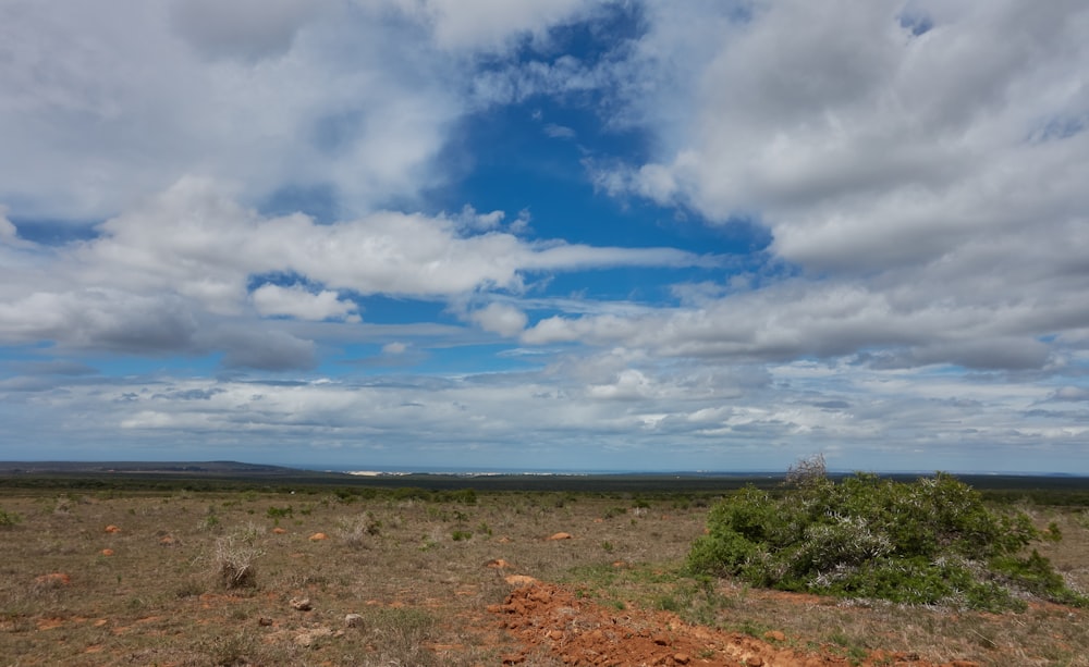 a dirt field with a tree and clouds in the sky