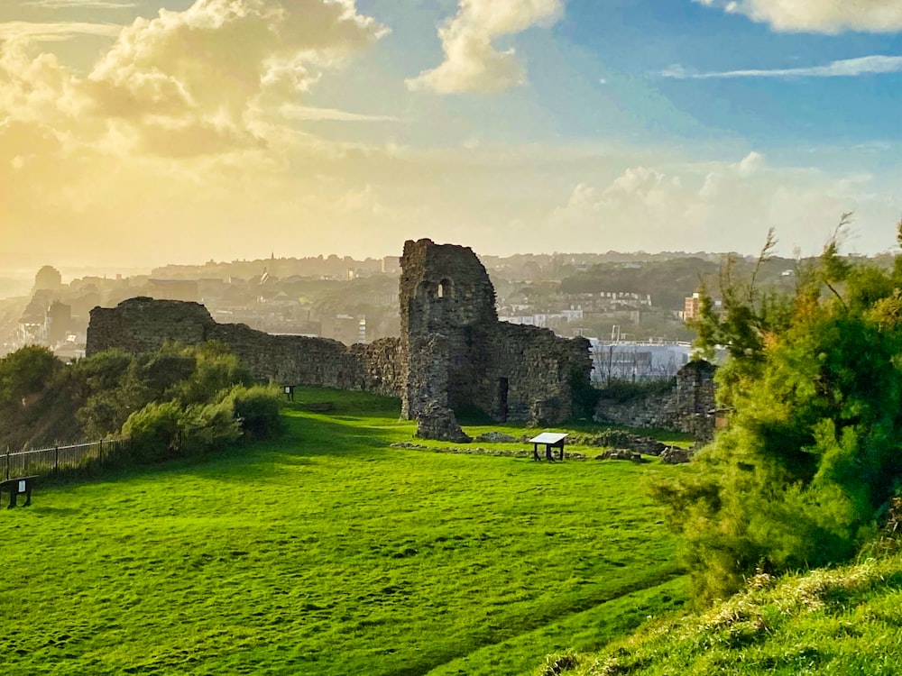 a grassy field with a castle in the background