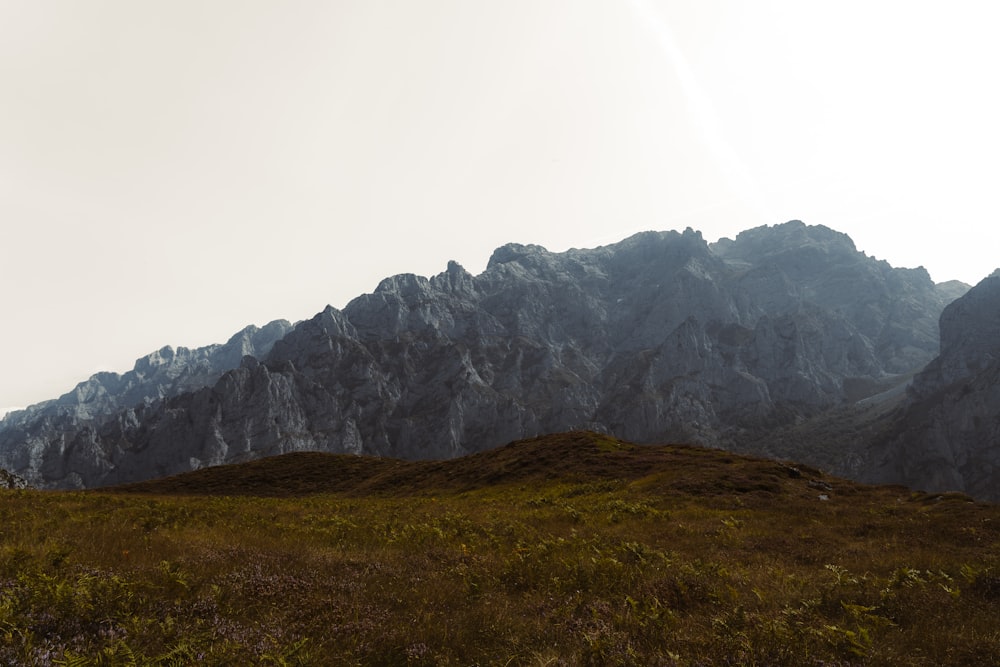 a grassy field with a mountain in the background