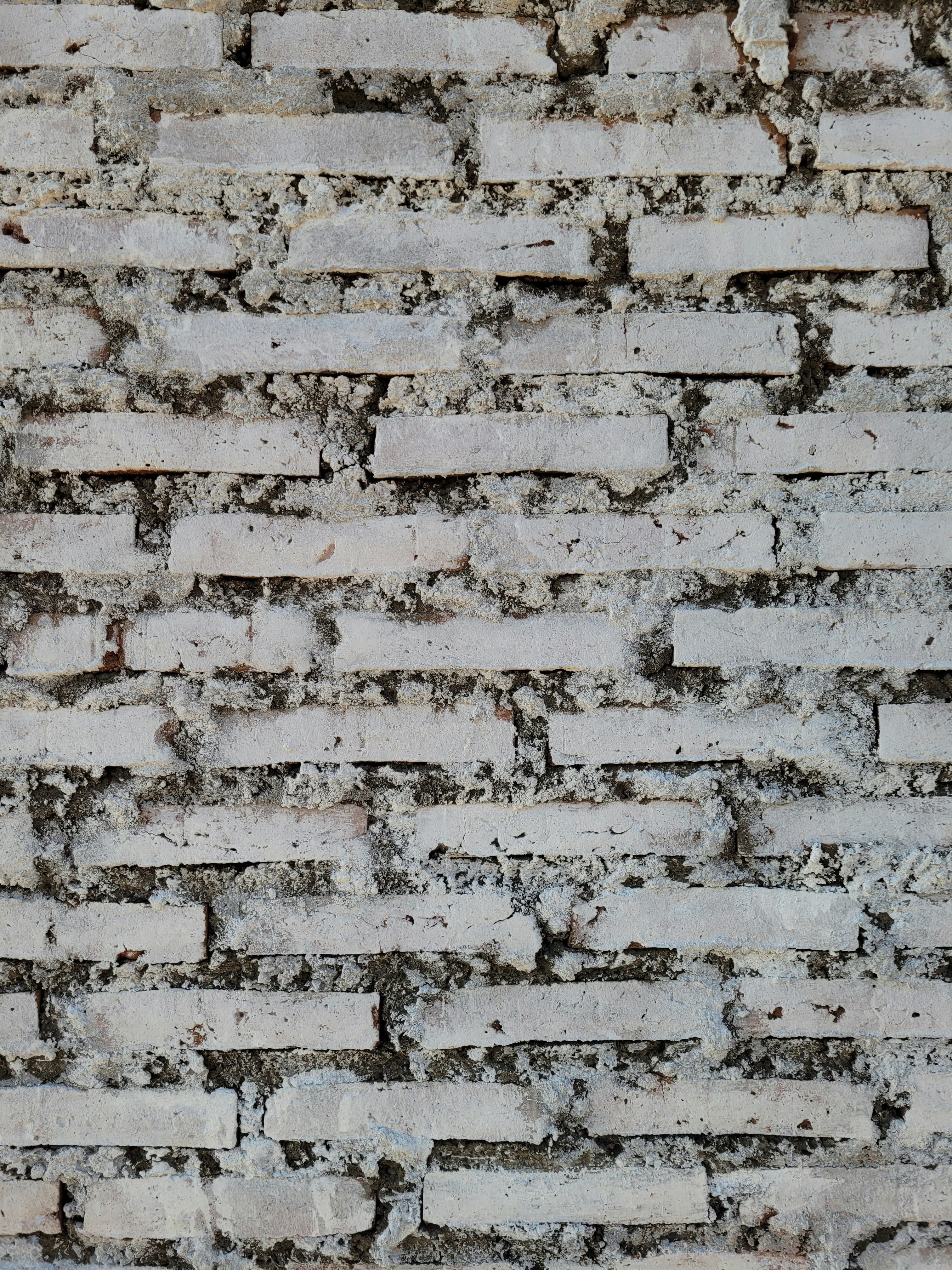 Photo by killari_hotaru