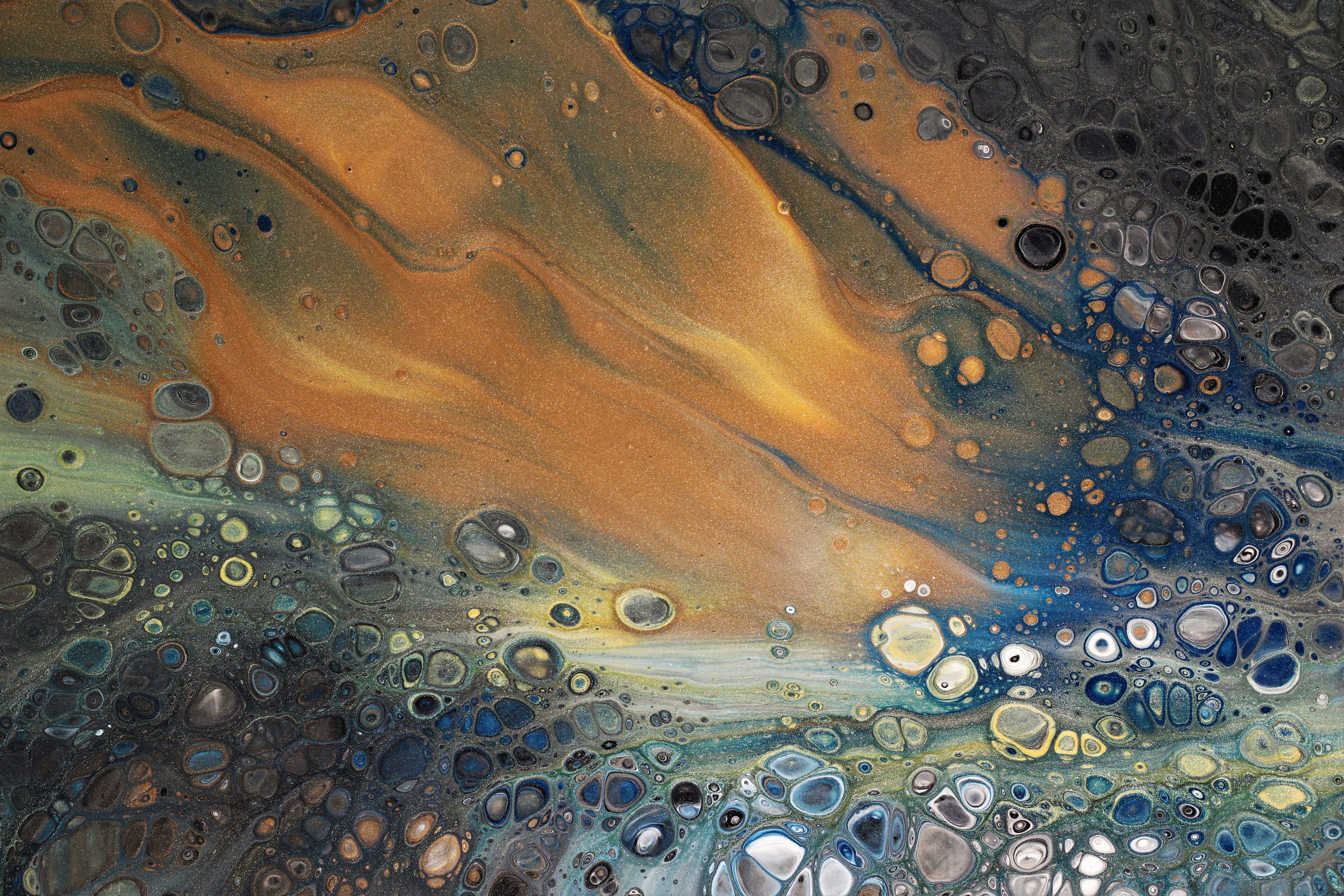 Photo by susan_wilkinson